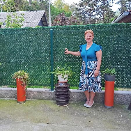 Milica Apartmani Vrdnik Bagian luar foto