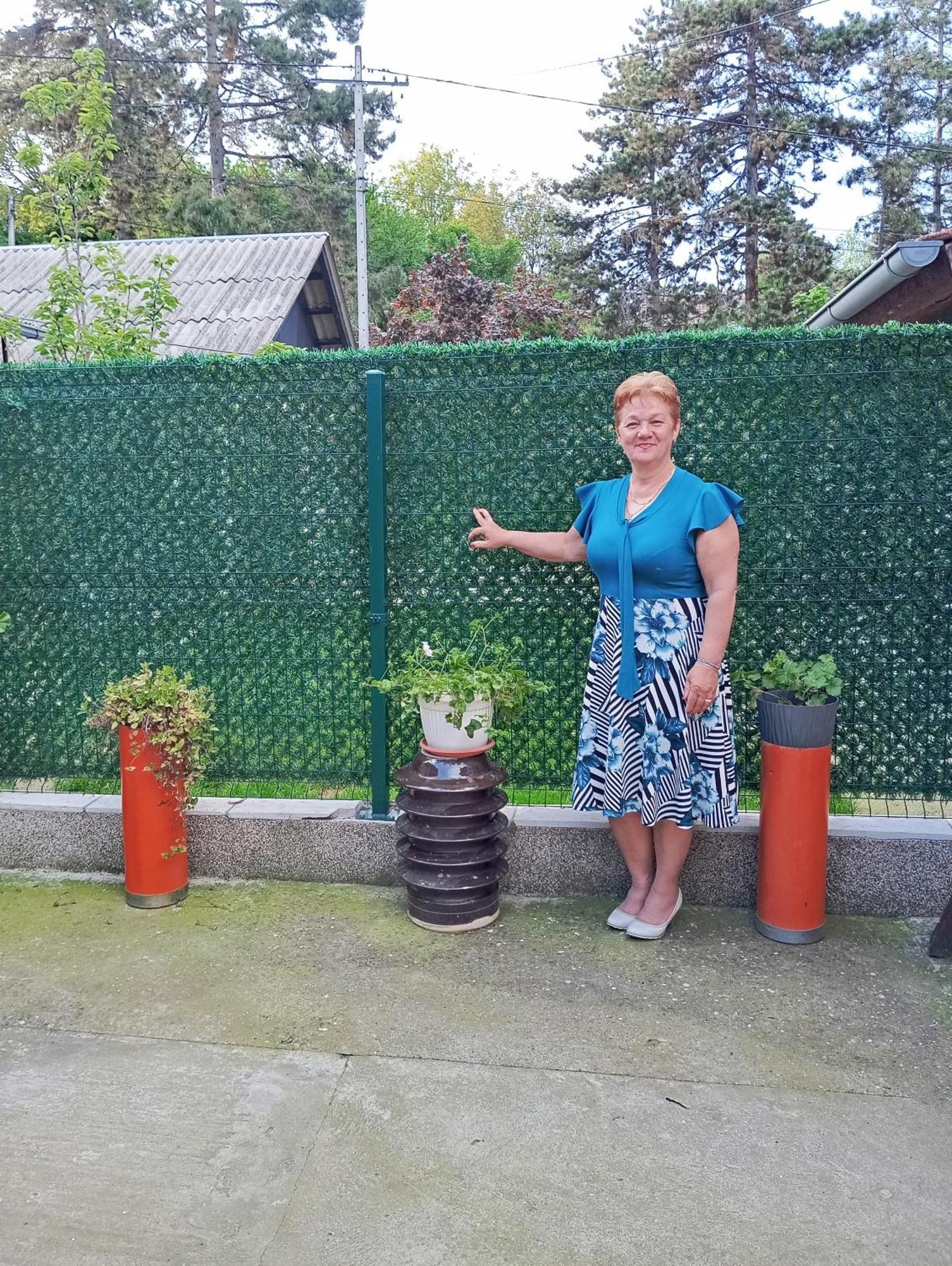 Milica Apartmani Vrdnik Bagian luar foto