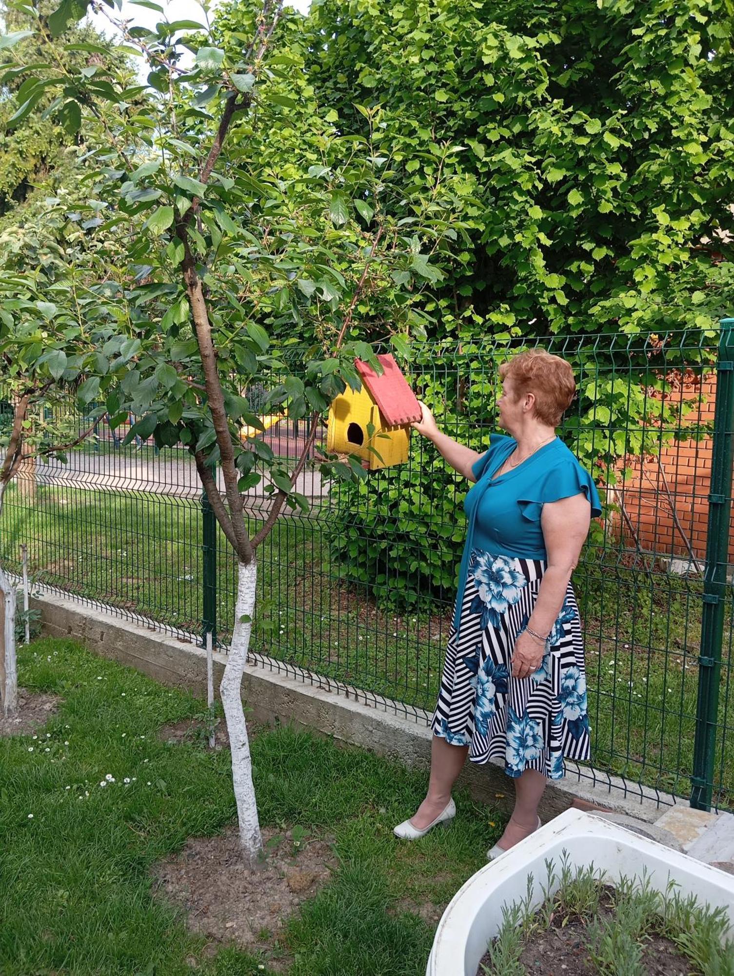 Milica Apartmani Vrdnik Bagian luar foto