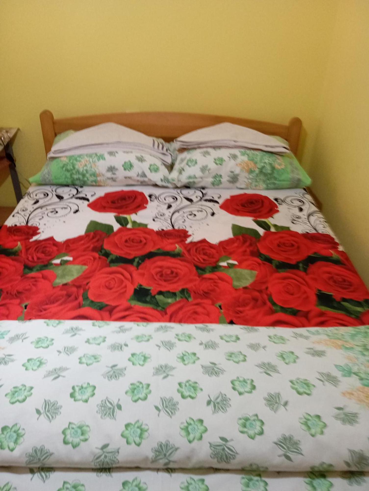 Milica Apartmani Vrdnik Bagian luar foto