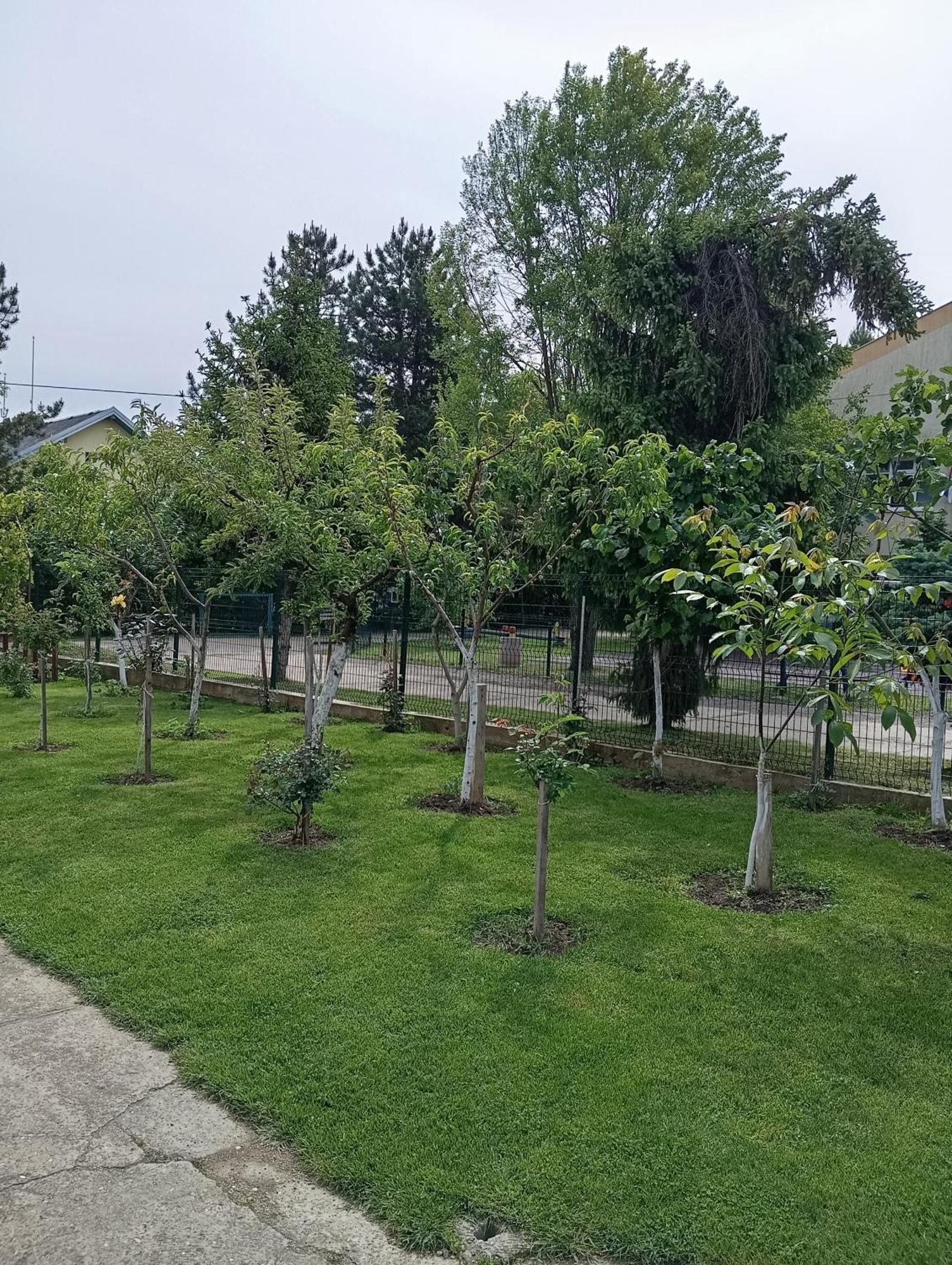 Milica Apartmani Vrdnik Bagian luar foto
